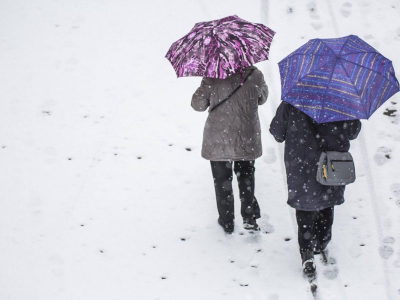 Wetter in Berlin & Brandenburg