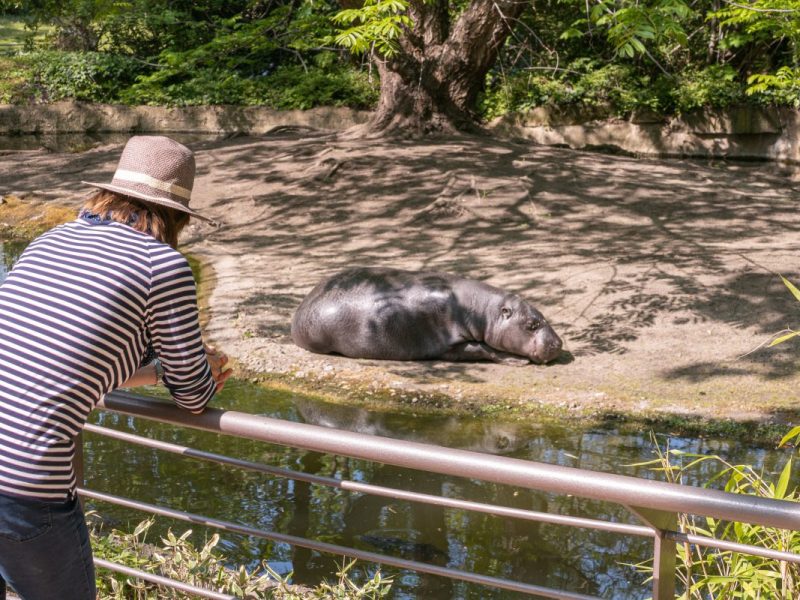 Zoo Berlin
