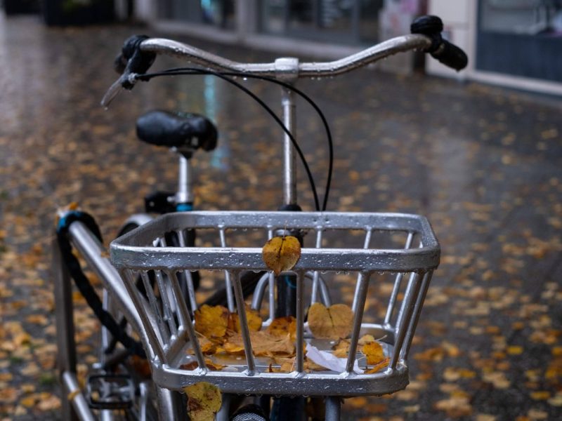 Wetter in Berlin & Brandenburg
