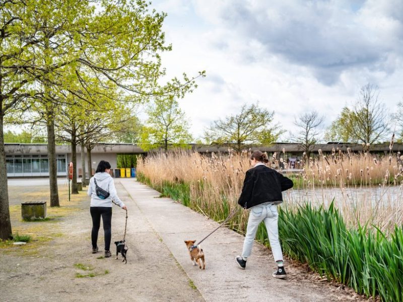 Tierheim Berlin