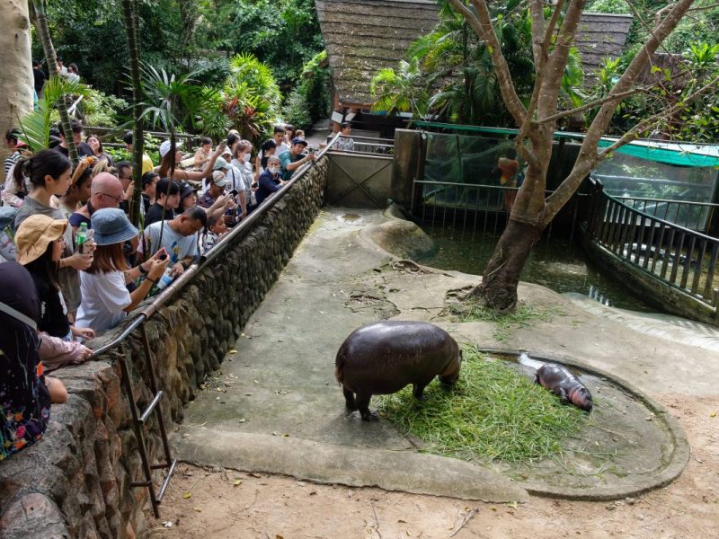 Zoo Berlin