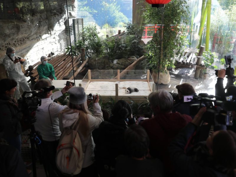 Zoo Berlin
