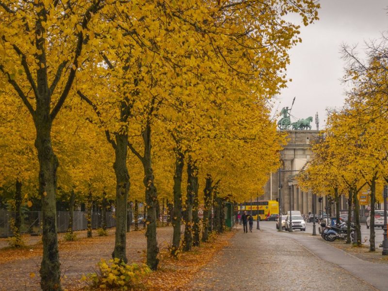 Wetter in Berlin & Brandenburg