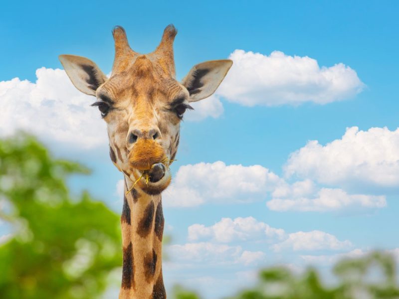 Tierpark Berlin