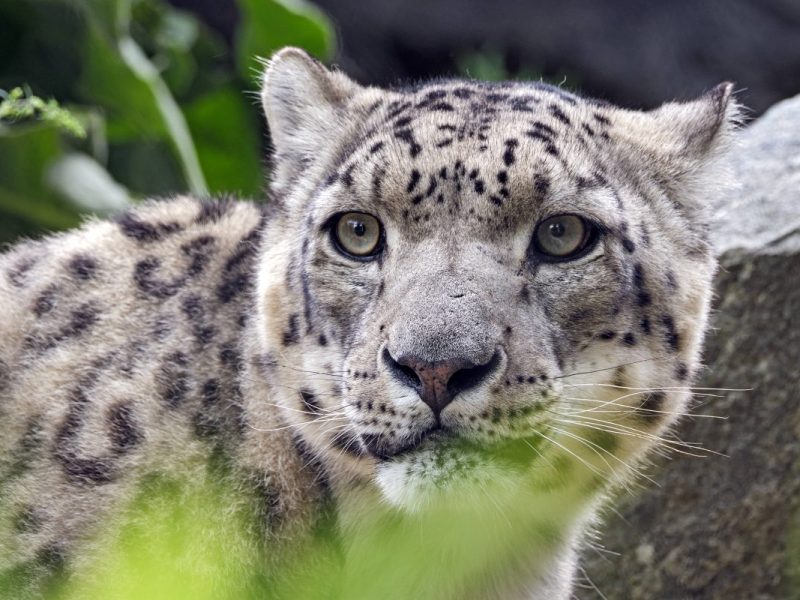 Tierpark Berlin