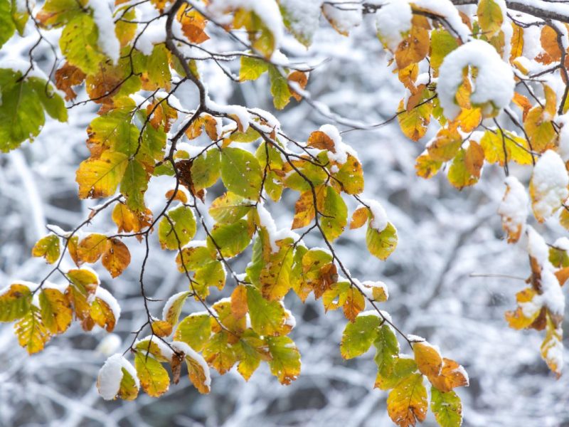 Wetter in Berlin & Brandenburg
