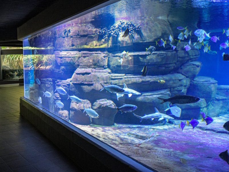 Zoo Berlin