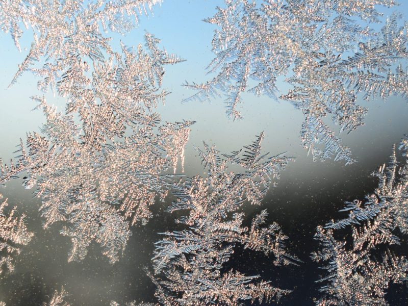 Wetter in Berlin & Brandenburg