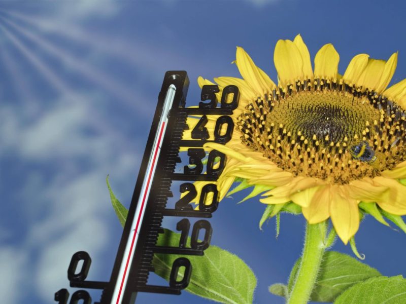 Wetter in Berlin und Brandenburg