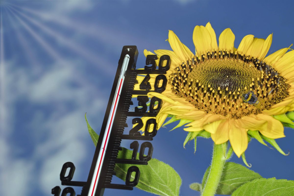 Wetter in Berlin und Brandenburg