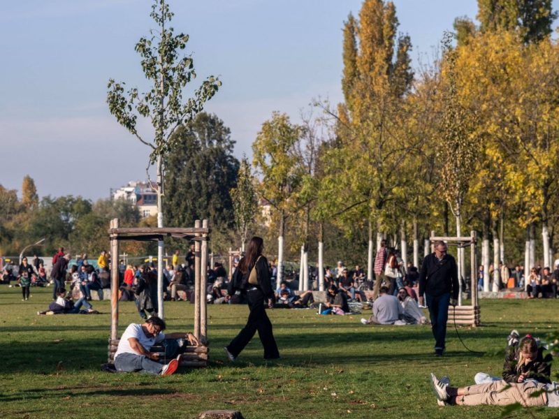 Berliner Mauerpark