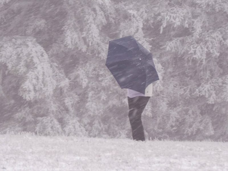 Wetter in Berlin & Brandenburg