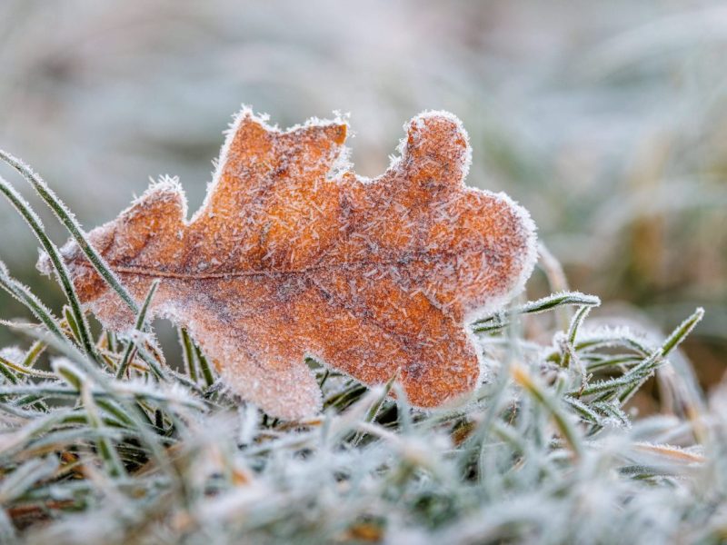 Wetter in Berlin und Brandenburg