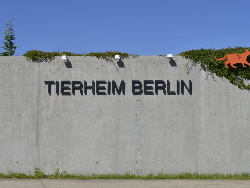 Tierheim Berlin