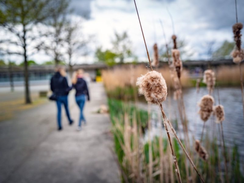 Tierheim Berlin