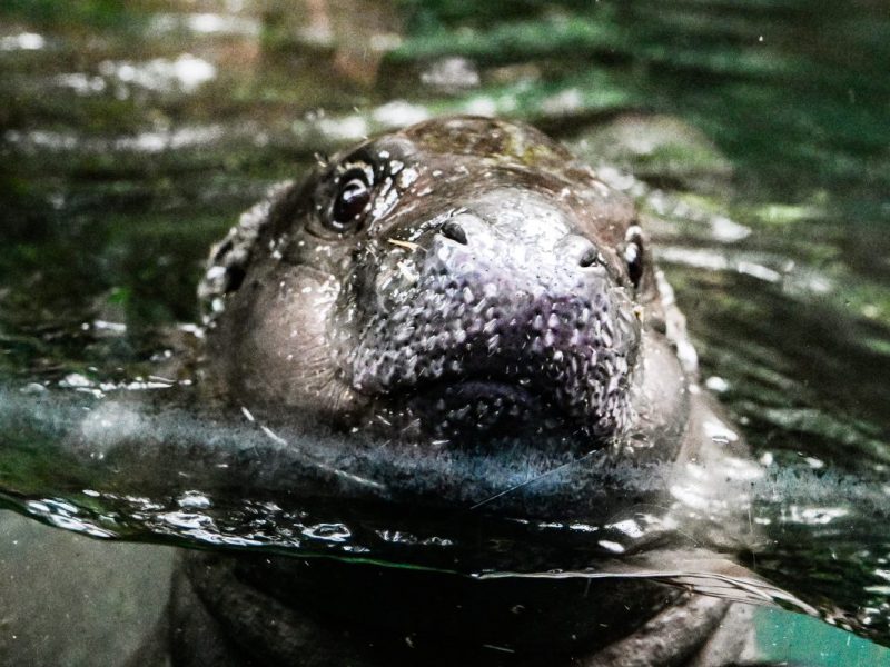 Zoo Berlin