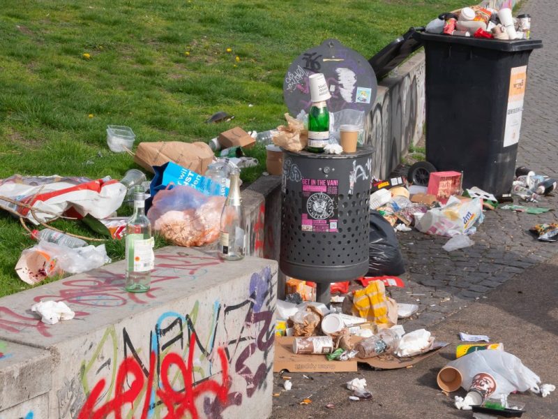 Berliner Stadtreinigung