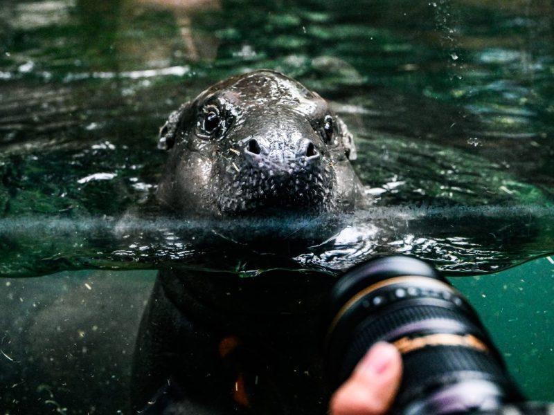 Zoo Berlin