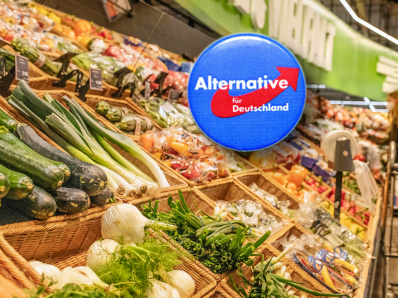 AfD in Brandenburg