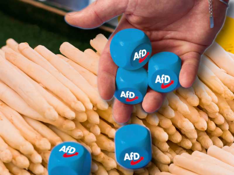 AfD in Brandenburg