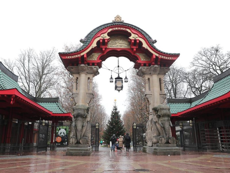 Zoo & Tierpark Berlin