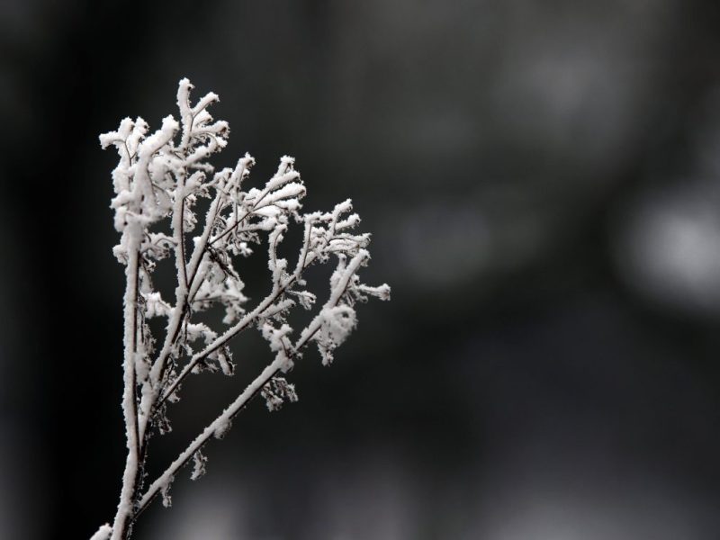 Wetter in Berlin & Brandenburg