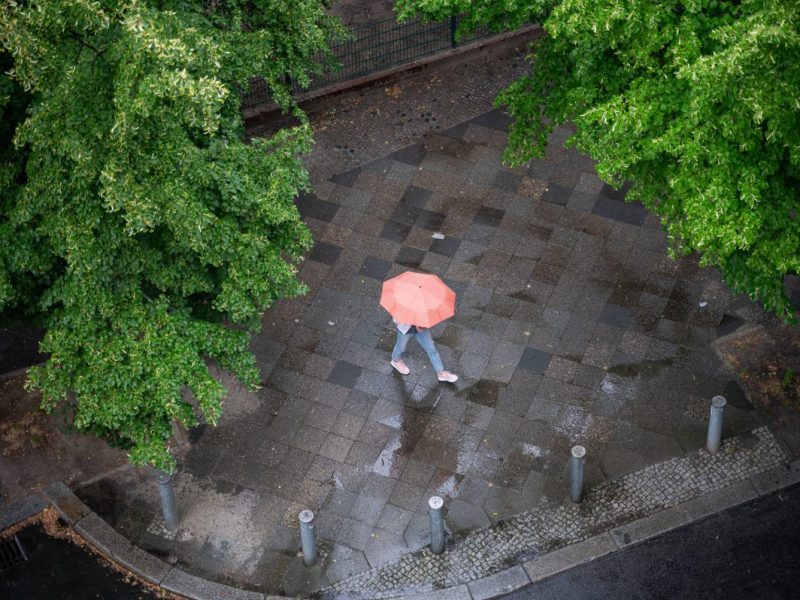 Wetter in Berlin & Brandenburg