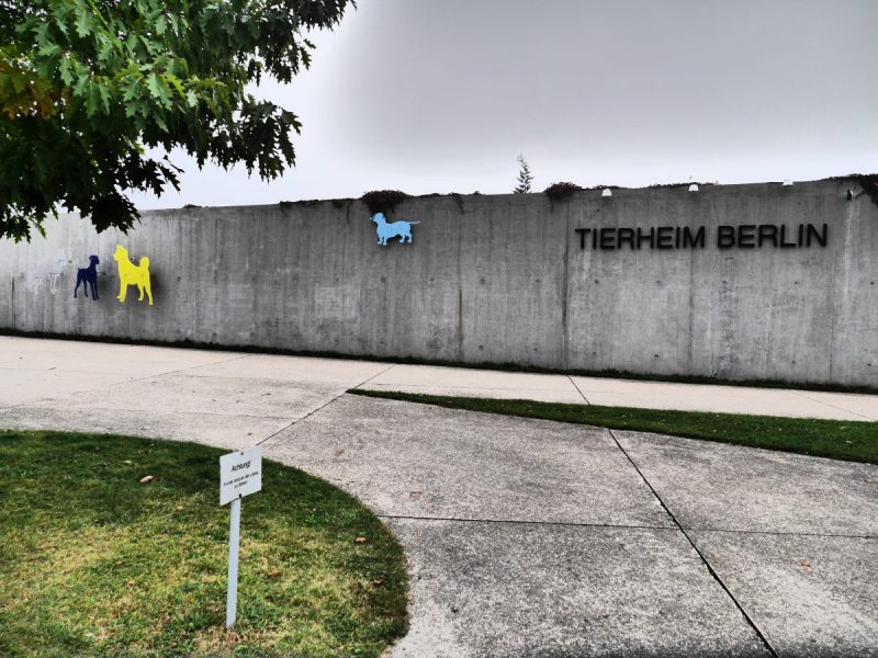 Tierheim Berlin
