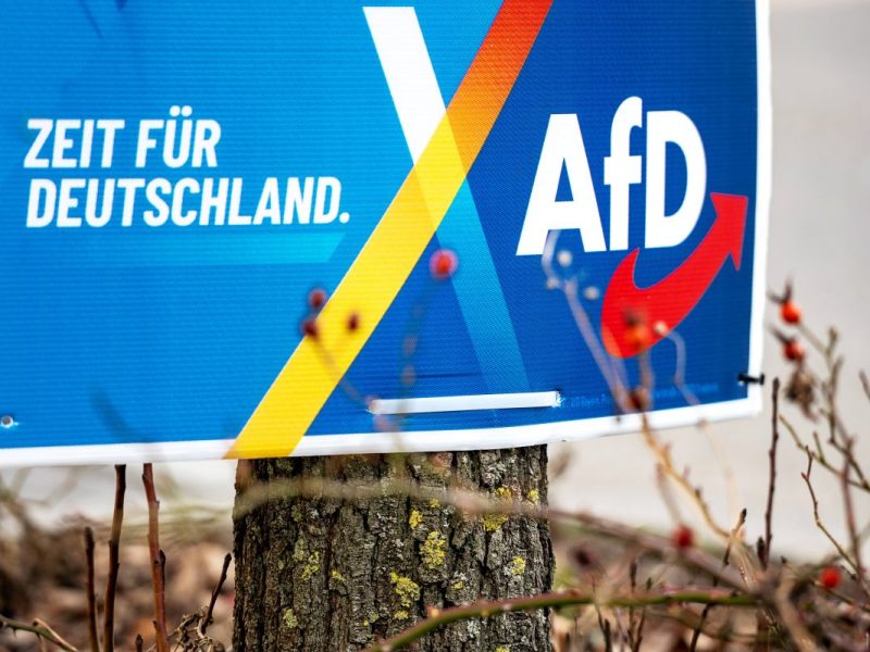 Bundestagswahl in Berlin