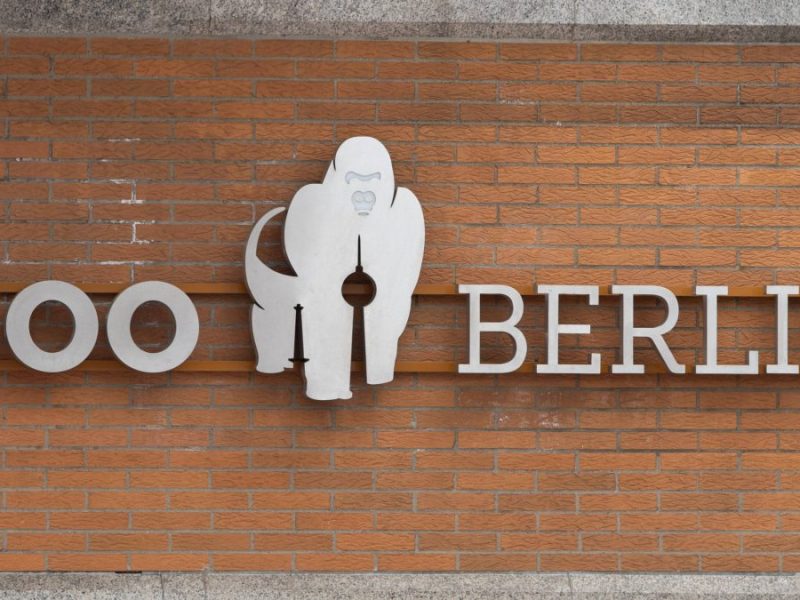 Zoo Berlin