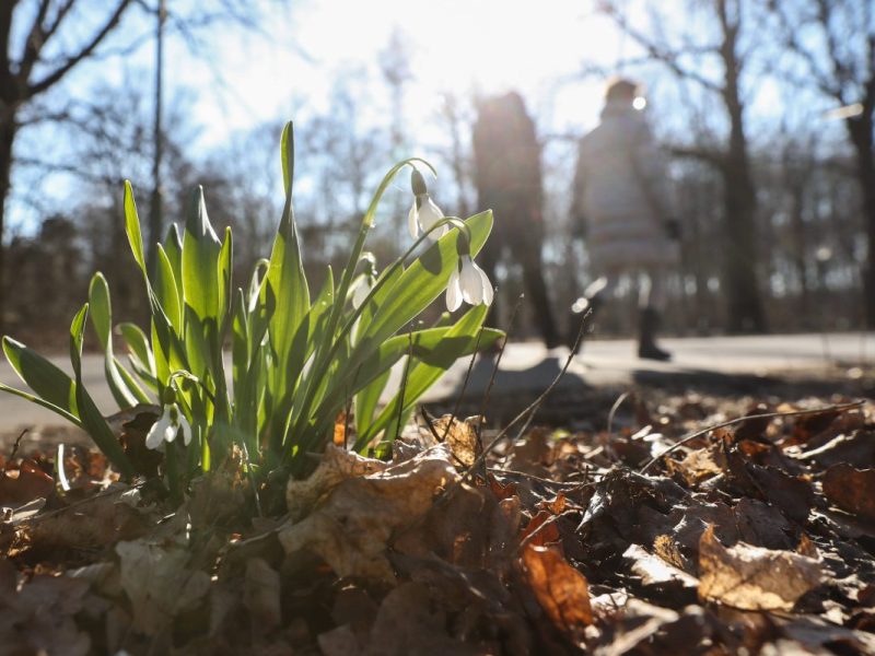 Wetter in Berlin & Brandenburg