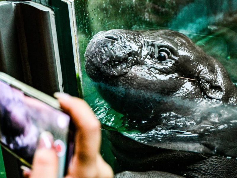 Zoo Berlin