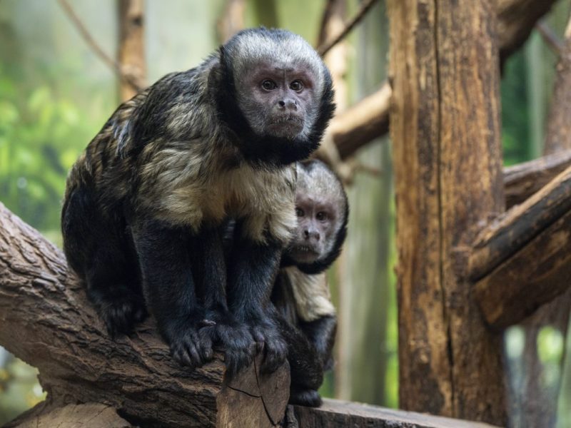Tierpark Berlin