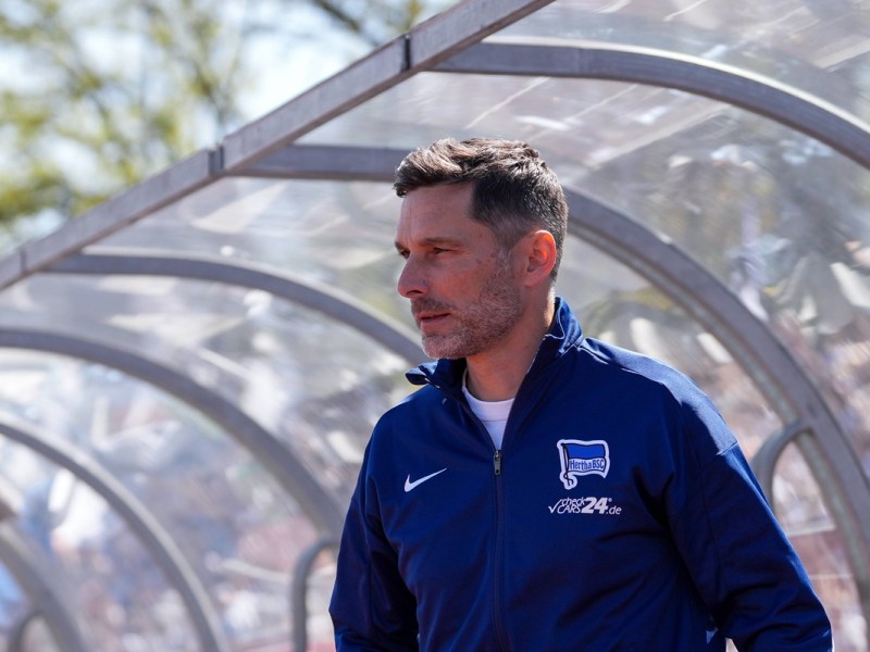 Stefan Leitl, der Coach von Hertha BSC.