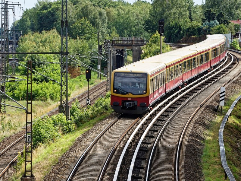 Ein Zug der S-Bahn Berlin fährt durch den Norden der Stadt.