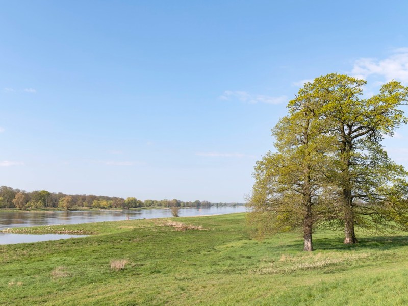 Die Elbe bei Cumlosen in Brandenburg.