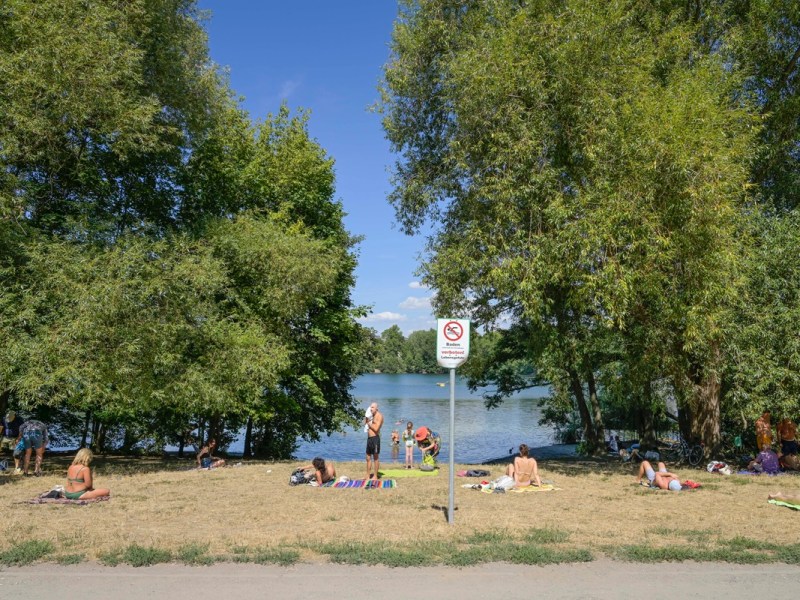 Badesee in Berlin: Sündhaft teurer Heckenschutz! DAS steckt dahinter