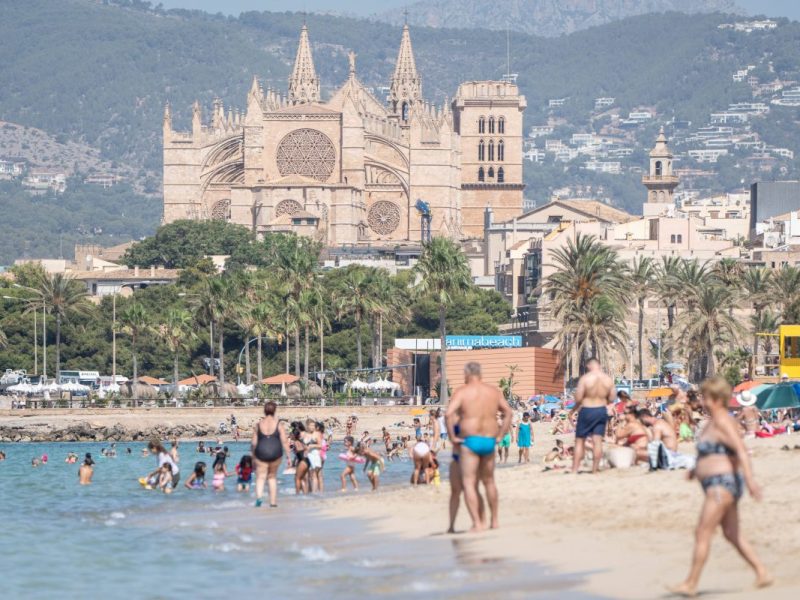 Palma Kathedrale