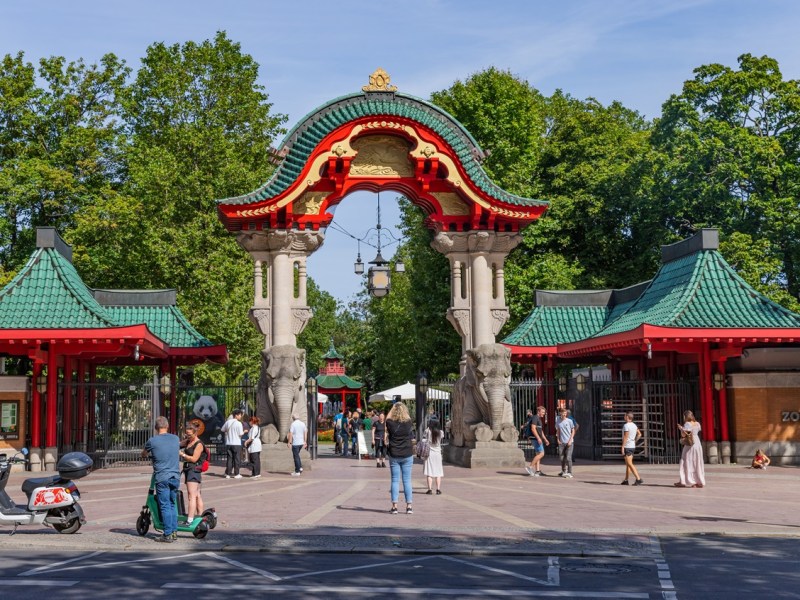 Zoo Berlin kann es nicht länger zurückhalten – jetzt ist es offiziell