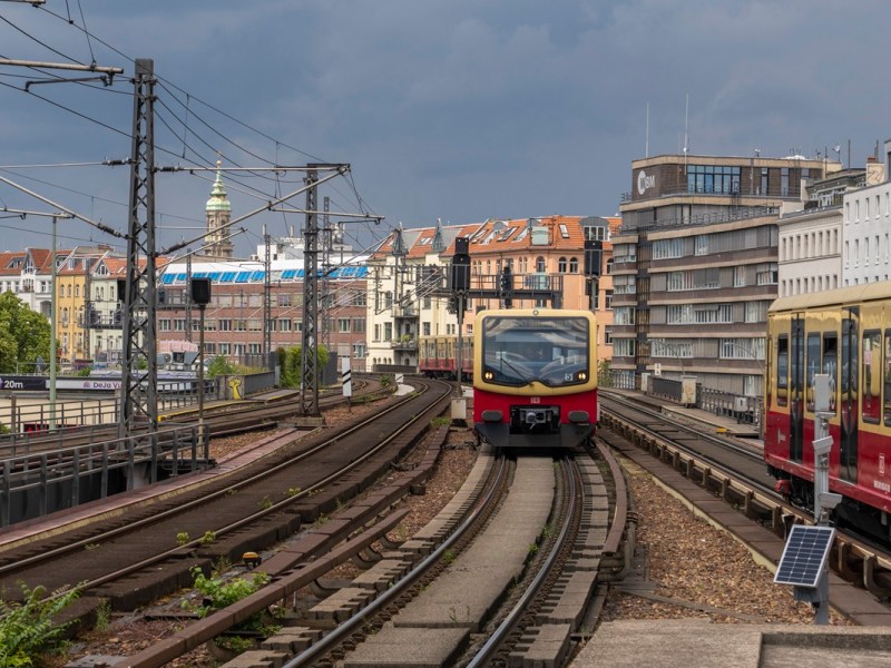 Ein Zug der S-Bahn Berlin fährt durch die Stadt.